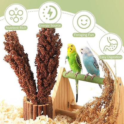 Fhiny Millet Spray for Birds, 3 PCS Natural Sun-Dried Red Sorghum Grain for Birds Seed Original Parrot Treats & Supplement Parakeet Food for Cockatiels Lovebirds Finches Budgies Pigeons Hamsters
