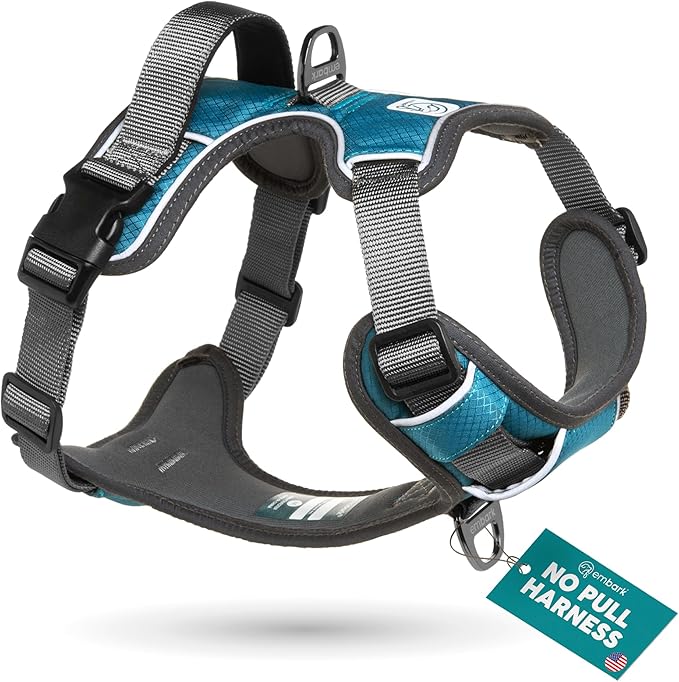 Embark Adventure Dog Harness, Easy On and Off with Front and Back Leash Attachment Points & Control Handle - No Pull Training, Size Adjustable and No Choke (Small - Teal Blue)