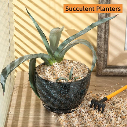 5lb Mixed Sand Rocks Pebbles Pumice Potting Soil Amendment Succulent Cactus Bonsai Gritty Rock Decorative Gravel for Succulents, Bonsai, Vase Fillers,Terrarium Plants