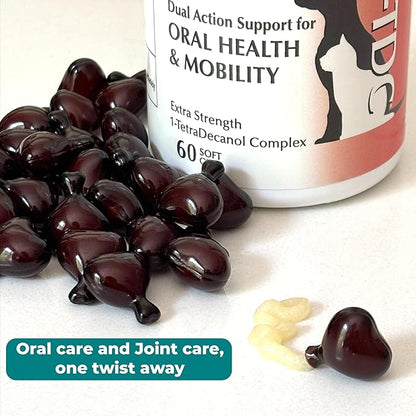 1TDC WorksSoWell Dual Action Joint Supplement for Dogs & Cats - Hip and Joint Supplement for Large Breed & Small Breed - Also Great for Oral Health - Muscle & Stamina Recovery & Arthritis - 60ct