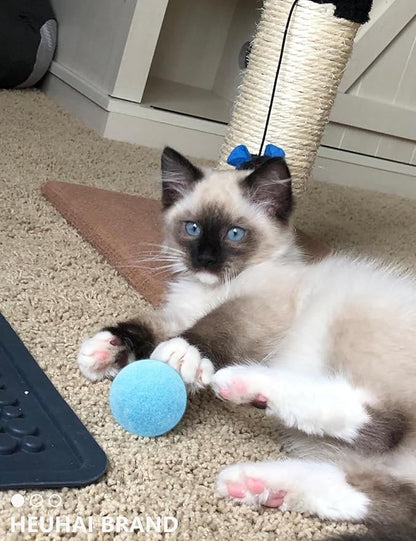 40-Pack Cat Balls – Fun Interactive Toys for Indoor Cats & Kittens (Basic Cat Toy Set)