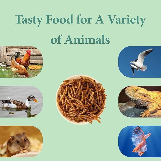 10LB Dried Mealworms, High Protein Meal Worms for Poultry, Wild Birds, Hedgehogs, Hamsters, Reptiles, Great Chicken Food, Bird Food