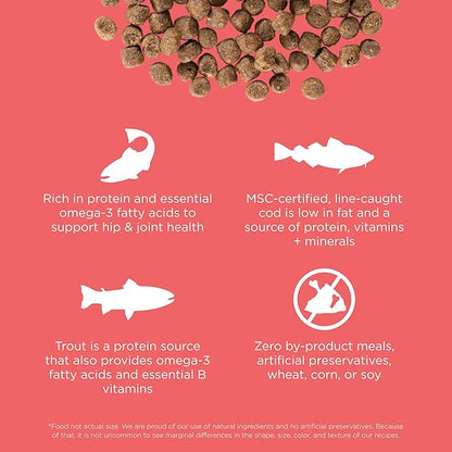 Go! Solutions Carnivore, Grain-Free, Protein Rich Dry Cat Food, Salmon and Cod Recipe, 3 lb Bag