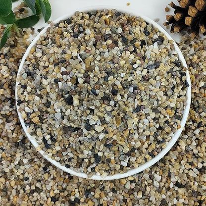 5lbs Aquarium Gravel, 1/8"(2-4mm) Natural River Rocks Succulent Cactus Pea Gravel for Plants, Fish Tank, Decorative Pebbles for Gardening, Flower Pots, Vase Fillers, Landscaping
