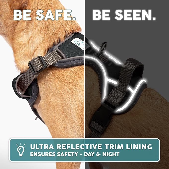 Embark Adventure Dog Harness, Reflective Trim No Pull Dog Harness for Large Dogs - Military Grade Nylon, Front Clip with Gel Lined Handle. Soft & Padded Puppy for Any Breed