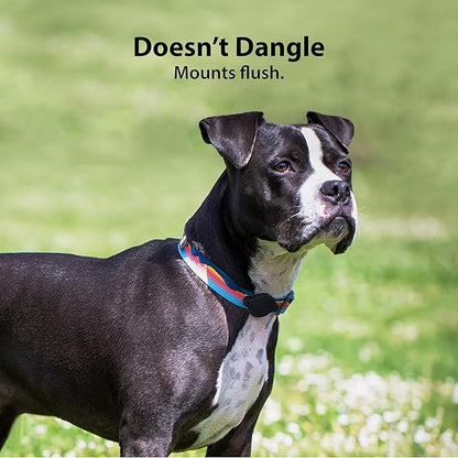 Elevation Lab TagVault™ Compact AirTag Dog Collar Mount (4 Pack) - IP68 Waterproof, Doesn't Dangle, Fits All Width Collars