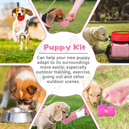 65 Pcs Puppy Supplies Starter Kit Small Dog Essentials Includes Dog Leash, Toys, Bowl, Brushes, Water Bottles, pet Blankets Puppy Accessories for New Welcome Gift Supplies(Cute,Pink)