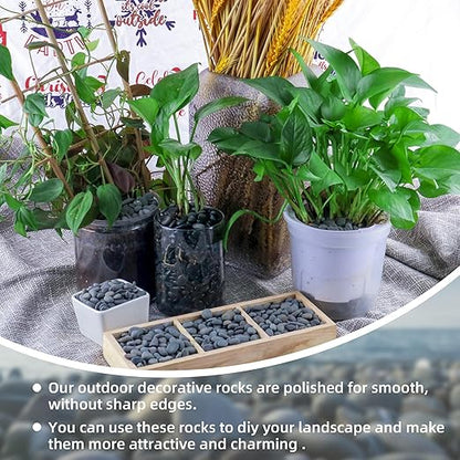 7lb Natural River Rocks Pebbles for Plants & Succulents, Decorative Outdoor Landscaping Garden Rocks, Mexican Beach Pebbles for Aquarium & Vase Decor