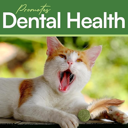 3 Pcs Catnip Balls with Feathers – Natural Catnip Toy for Play, Stress Relief & Healthy Enrichment Interactive Cat Toys Perfect for Indoor Cats & Kittens, Encourages Active Play & Wellness