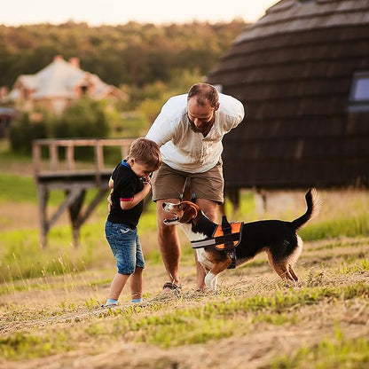 Dogline Dog Harness, Reflective No-Pull Adjustable Vest with Handle for Walking, Training, Breathable, No - Choke Harness for Small, Medium or Large Dogs Room for Patches Girth 27 to 34 in Orange