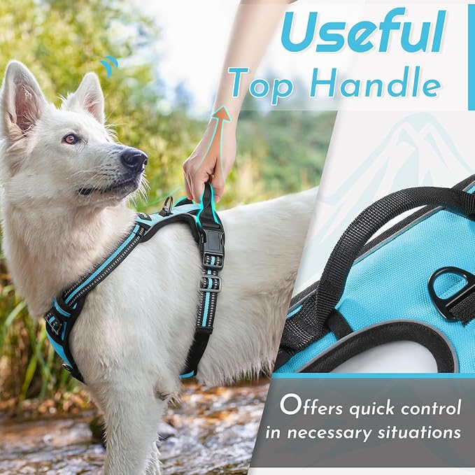 Eagloo Dog Harness Small Sized Dog, No Pull Service Vest with Reflective Strips and Control Handle, Adjustable and Comfortable for Easy Walking, No Choke Pet Harness with 2 Metal Rings, Sky Blue, S
