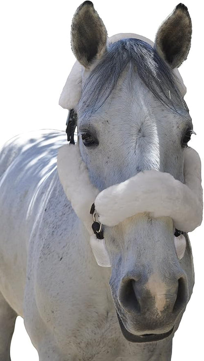 ECP Equine Comfort Products Merino Sheepskin Halter Fleece Set for Horses, 100% Natural Wool, Chafe Protection, Breathable Relief & Cushioned Comfort, Machine Washable, 6-Piece Set