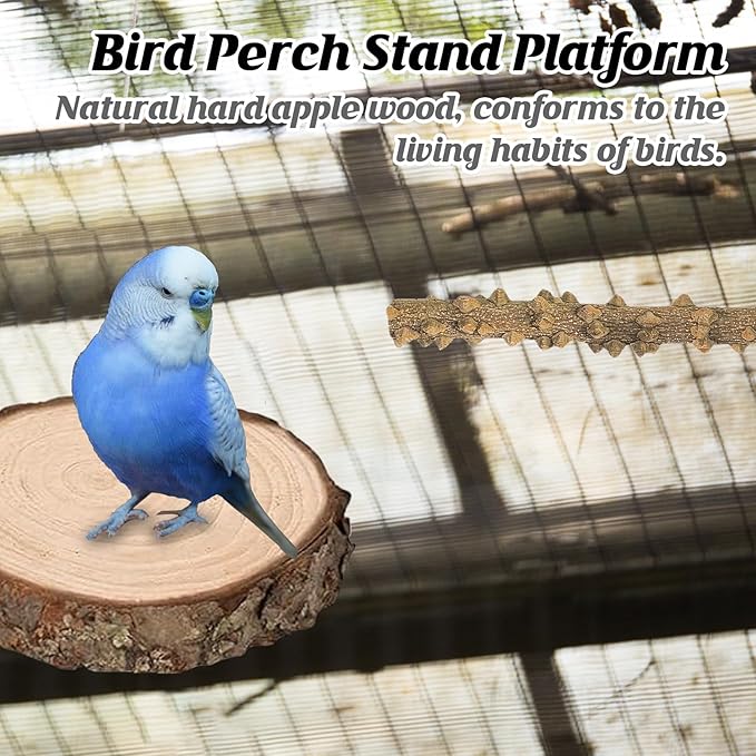 6Pcs Natural Wooden Bird Perch Grape Stick Claw Grinding Fork Bird Perching Branch Claw Grinding Stick Parrot Standing Platform Parrot Cage Chewing Accessories for Parrots Lovebirds Parakeets