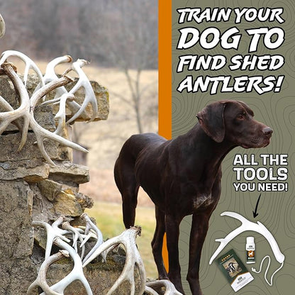 DogBone Shed Hunting Dog Training Kit – Train Your Puppy to Find Deer Antlers - Includes 2 oz Scent for Nosework & Flexible Floating Dummy for Retrieving - Perfect for Whitetail Hunters