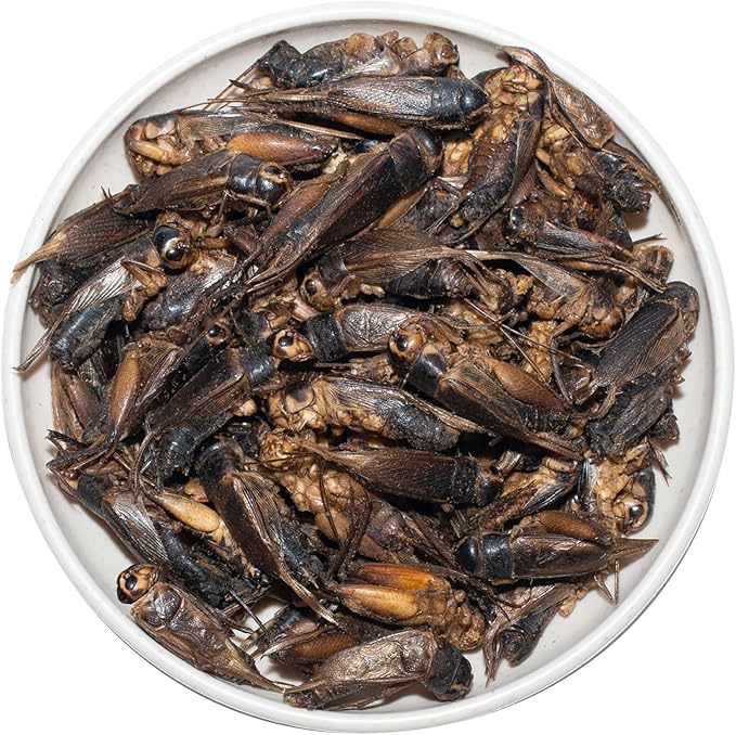 Freeze Dried Crickets – 2.8 Oz High Protein Freeze Dried Crickets, Food for Reptiles, Bearded Dragons, Lizards, Geckos, Birds, Fish,Hedgehogs, Bearded Dragon Food