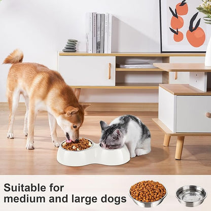Elevated Dog Bowls Set - Non-Slip Raised Pet Feeder with Medium (10 oz) & Large (20 oz) Stainless Steel Bowls - Includes Durable Resin Stand for Puppies, Adult Dogs & Cats - White