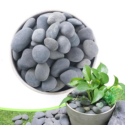 2.4LB River Rocks,Mexican Beach Pebbles for Plants,Potting,Garden Landscape Stone Paving Stone Grey 1Inch - 2Inch