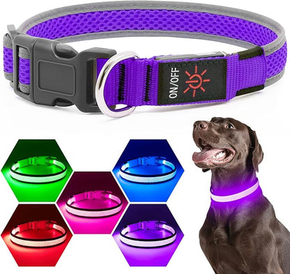 Flashseen LED Dog Collar, Light Up Dog Collar Light USB Rechargeable, Adjustable Comfortable Soft Mesh Safety Collar for Small, Medium, Large Dogs(Large, Purple)