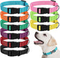 9 Pieces Adjustable Dog Collar for Animal, Soft Nylon Pets Puppy Collar with Quick Release Buckle Holder Bulk for Dogs Walking Running Training(Medium,Bright Colors)