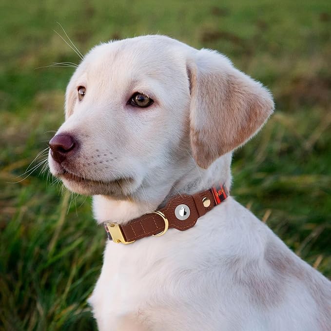 AirTag Dog Collar for Small Medium Large Breed - Adjustable Cute Pattern Dog Collar with Airtag Holder - Soft Leather Tracker GPS Apple Air Tag Pet Collars (Small, 12"-15" Neck Fit, Western)