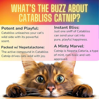 1oz Cat Nip for Cats, Turbo Charging Blend for Refillable Catnip Toys, 100% Essential Natural Cat Weed Treat, Non-Addictive, Enhancing Play for Indoor Cats