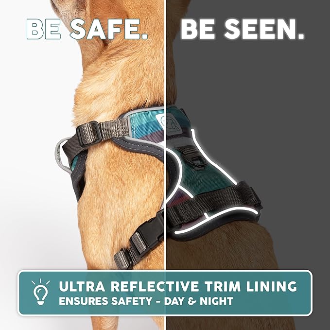 Embark Adventure Dog Harness, No-Pull Reflective Trim Dog Harness for Small, Medium & Large Dogs - Heavy Duty Oxford, 2 Leash Clips & Gel Lined Handle. Soft & Padded Puppy Dog Vest for Any Breed