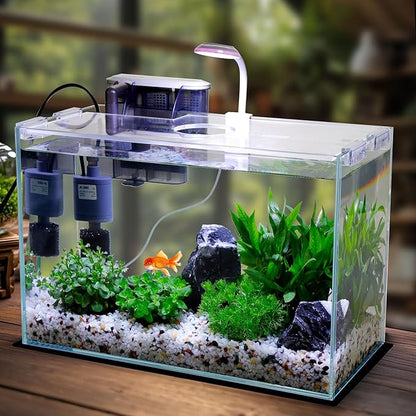 5 Gallon Glass Small Fish Tank, Betta Fish Tank Starter Kit with Filter, Lights, Lid.