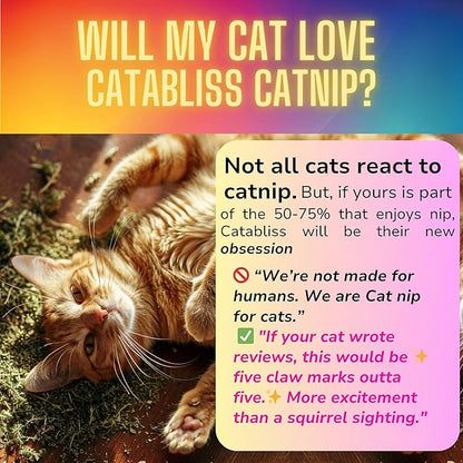 1oz Cat Nip for Cats, Turbo Charging Blend for Refillable Catnip Toys, 100% Essential Natural Cat Weed Treat, Non-Addictive, Enhancing Play for Indoor Cats