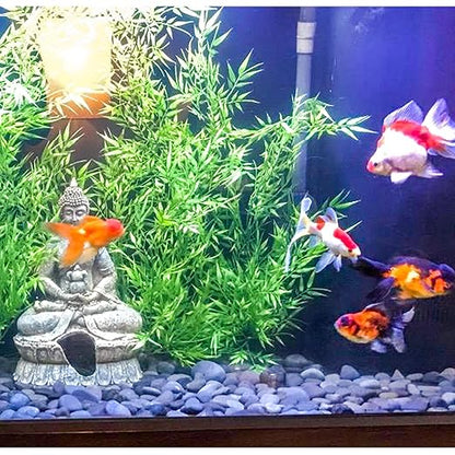 5 lbs Natural Mexican Beach Pebbles, 1-2 Inch Large River Rocks for Plants and Landscaping, Decorative Stone for Fish Tank Aquarium Fountain Garden Paving Walkways Pathways Backyard, Grey