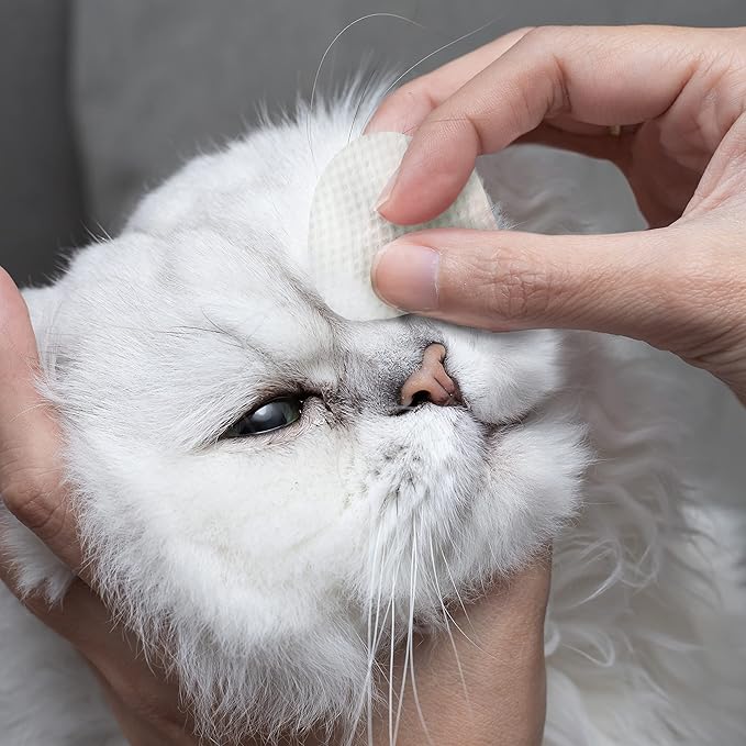 Eye Envy Tear Stain Wipes for Cats. Textured to Gently Clean, Treats The Cause of Staining. 100% Natural Formula. Recommended by Persian & Exotic Breeders, Vets, Groomers. USA Made. 60 Cat Eye Wipes