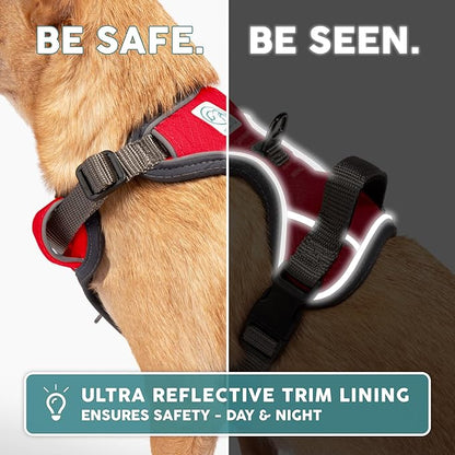 Embark Adventure Dog Harness, Reflective Trim No Pull Dog Harnesses for Small Sized Dogs - Military Grade Nylon, Front Clip with Gel Lined Handle. Soft & Padded Puppy