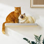 Extra Large 23.6”x12.6” CALLICO HAVEN- Stylish Cat Wall Shelves with Cushion, Modern Wall-Mounted Cat Tree Furniture, Window Cat Shelf & Perch, Sturdy/Hidden Mounts, Washable Cover - Flat Shape