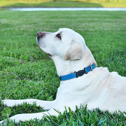 Dogline Biothane Waterproof Dog Collar with Herm Sprenger Black Stainless Steel Quick Release Buckle – Heavy Duty Tactical Durable Collar for Dogs – Comfortable and Safe Pet Collar W 1" L 15-25" Blue