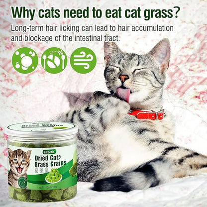 50g Cat Grass Teething Treat, Delicious Cat Grass Teething Snack Edible Cats Chew Toy for Teeth Cleaning and Hairball Removal