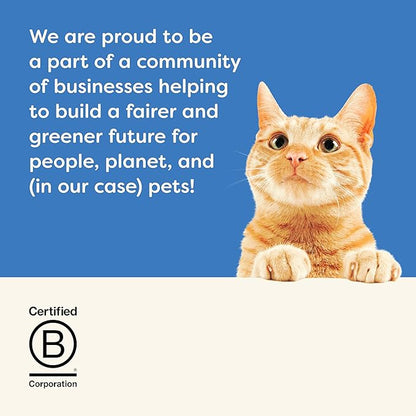 Applaws Natural Wet Cat Food, 24 Count, Limited Ingredient Canned Wet Cat Food, Tuna Fillet with Shrimp in Broth, 5.5oz Cans