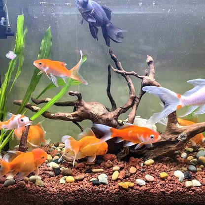 2 lbs Red Lava Rocks for Plants,1/4 Inch Crush Volcanic Rock Gravel Potting Mix for Succulent Cactus Bonsai Aquarium Fire Pits and Garden Landscaping