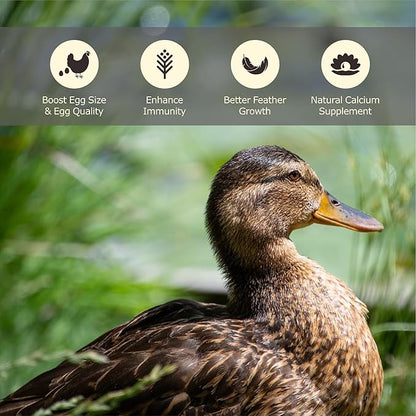 5LB Dried Black Soldier Fly Larvae, More Calcium Than Dried Mealworms, High Protein Chicken Feed,Duck Food, BSFL, Poultry Treats