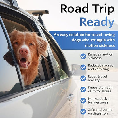 Anti-Motion Sickness and Nausea Relief for Medium Breed Dogs, Relief for Disorientation and Dizziness, 20 Tablets