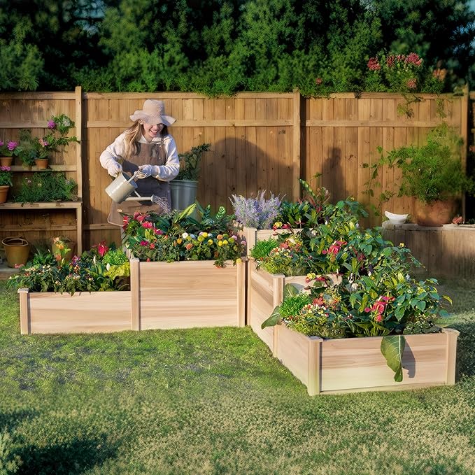 AMERLIFE 3-Tier Raised Garden Bed for Outdoor Gardening, Fir Wood Planter Box with Dividers, Tool-Free Assembly, Garden Box Perfect for Vegetables, Herbs, and Flowers