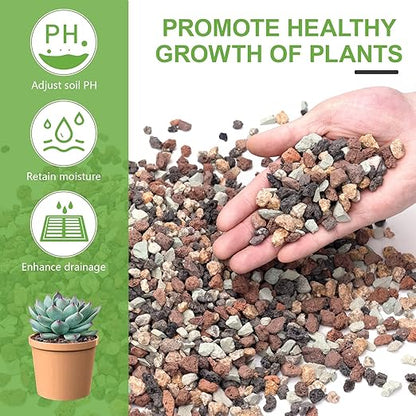 2.5lbs Small Rocks for Terrarium, Planters Drainage, 1/5 Inch Lava Rock for Bonsai Tree, Decorative Gravel for Succulents, Bamboo, Cactus, Mixed Color