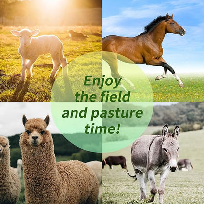 17-Inch Equine Ball for Play & Training - Anti-Burst, Mega Horse Soccer Ball for Goat, Donkey