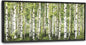 Extra Large Birch Tree Framed Wall Art for Living Room,Oversized Green Aspen Trees Forest Pictures Wall Decor,Canvas Print Painting Modern Artwork Bedroom Office Bathroom 60L" x 30W"