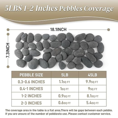 5 lbs Natural Mexican Beach Pebbles, 1-2 Inch Large River Rocks for Plants and Landscaping, Decorative Stone for Fish Tank Aquarium Fountain Garden Paving Walkways Pathways Backyard, Grey