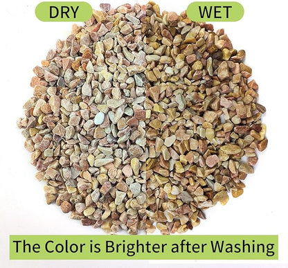 2 lb Natural Pea Gravel Small Pebbles - 3/8 Inch Pebbles for Indoor Plants, Succulents Rocks, Fish Tank Gravel, Terrarium Rocks and Patio Paver Decorative Stones