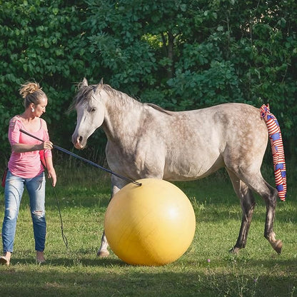 6 Pcs Horse Tail Bag Breathable Guard 22" Slip on Horse Care Tail Wrap 2 Strand Closure Straps Grooming Supplies to Keep from Dirt Breakage Rubbing 6 Designs(Modern Style)