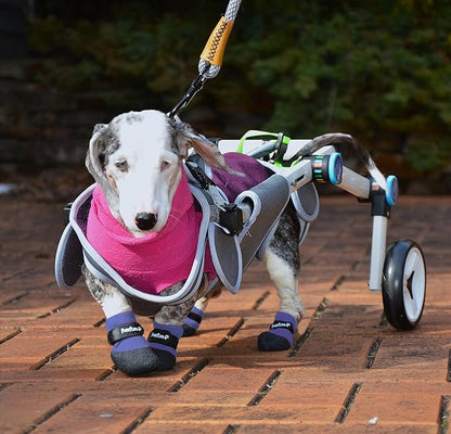 Double Dipped Thick Textured Waterproof Cotton Dog Socks | PawFlex Comfy Pawz Soft Indoor/Outdoor Pet Booties | Non-Slip Silicone Grip at Inner Wrist for No Twisting or Sliding Off| Adjustable Strap