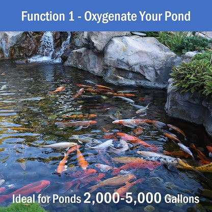 AquaMiracle All-in-One Koi Pond Aerator for Outdoor Ponds, Pond Air Pump Pond Aeration System with Self-Sinking Airline Flow Control Rubber Air Diffuser