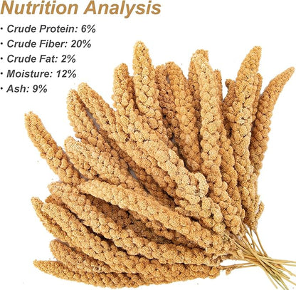 Amzey 5.5 LB Spray Millet for Parakeets, 100% Natural Dried Millet Grain for Birds, Non-GMO Bird Treat for Cockatiel, Finches, Parrots & Lovebirds