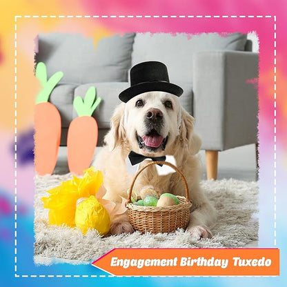 4 Pcs Pet Formal Halloween Costume Accessories Dog Wedding Bow Tie Top Hat Puppy Gentleman Costume for Small Medium Dogs Cats Halloween Party