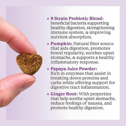 Dr. Harvey's Digestive Probiotic Soft Chews for Dogs, 7 Probiotics for Gut Health, Diarrhea and Bowel Support, Peanut Butter Flavor (90 Chews)